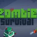 Zombie Survival