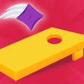 Corn Hole 3D