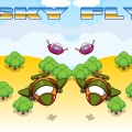 Sky Fly