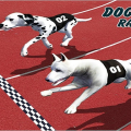 Crazy Dog Racing Fever : Dog Race Game 3D