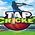 Tap Cricket