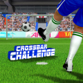 Crossbar Challenge