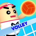 Volley Beans 3D