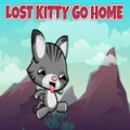 Lost Kitty Go Home 
