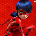 Miraculous Ladybug Puzzle