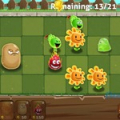 Plants 